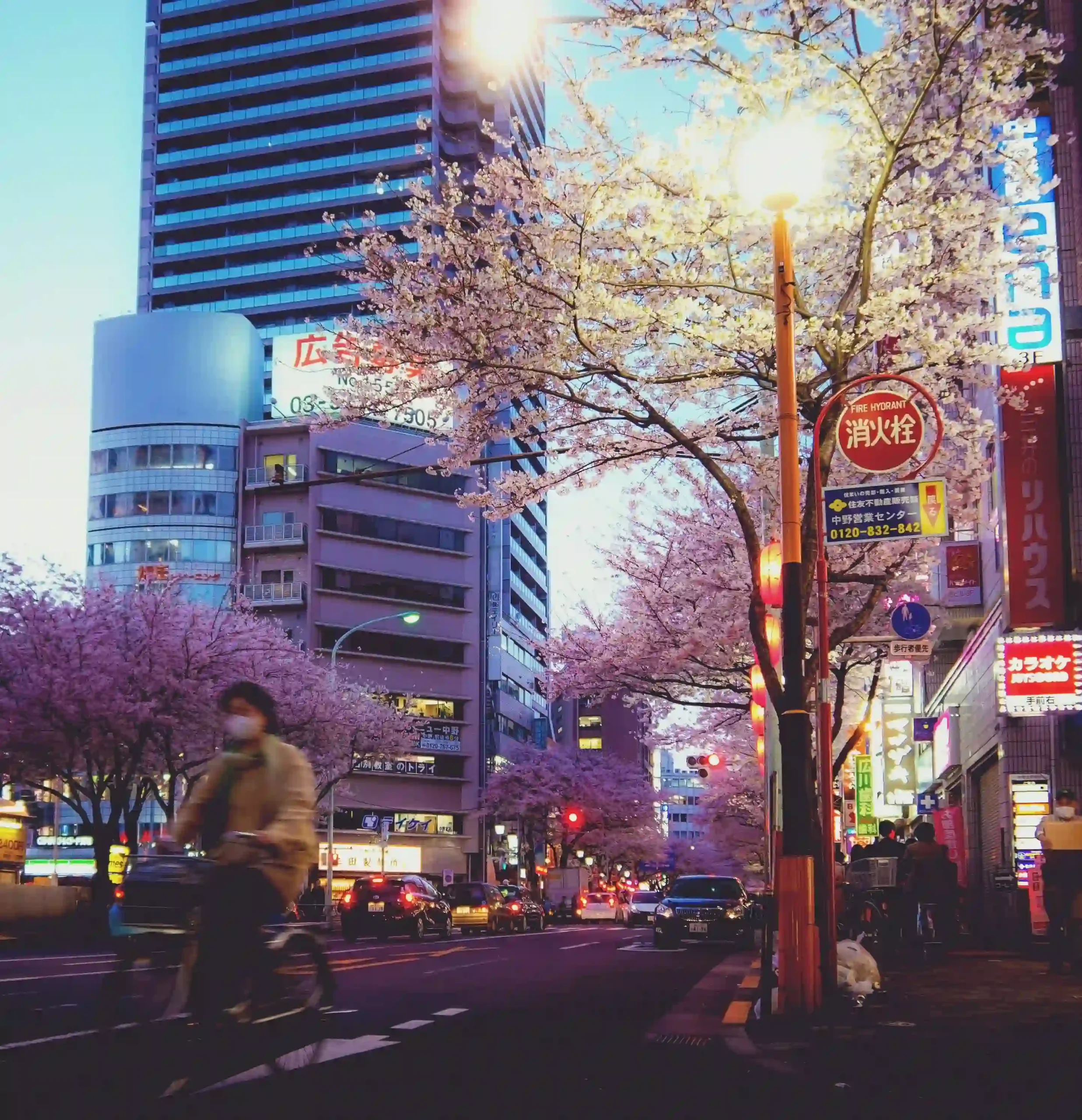 中国人怎么申请日本特定技能签证？从考试到入境的4个步骤